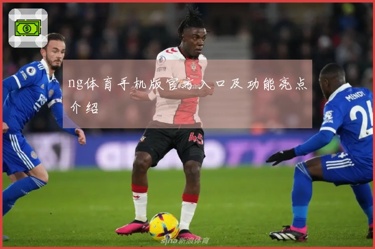 ng体育手机版官方入口及功能亮点介绍
