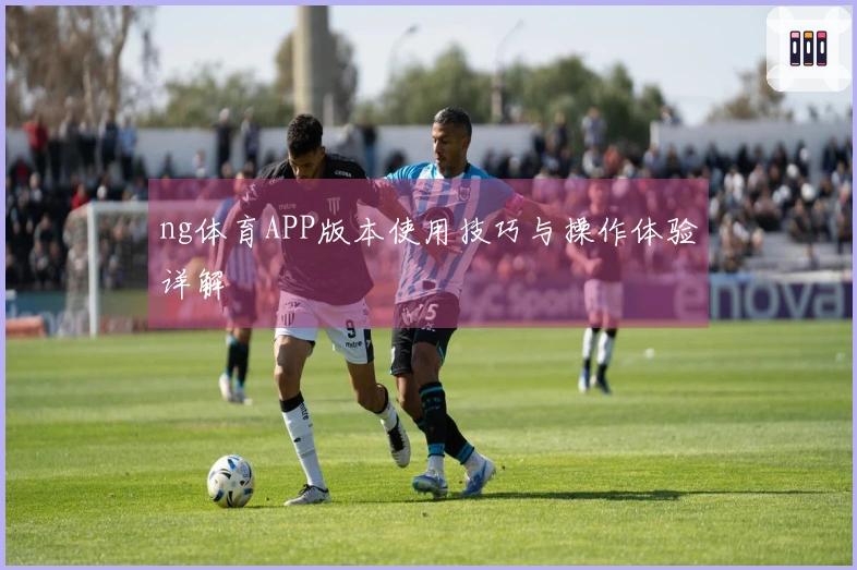 ng体育APP版本使用技巧与操作体验详解