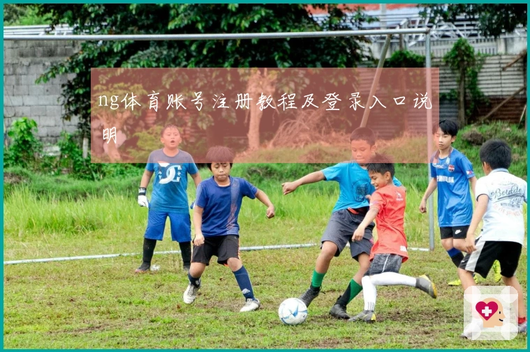 ng体育账号注册教程及登录入口说明