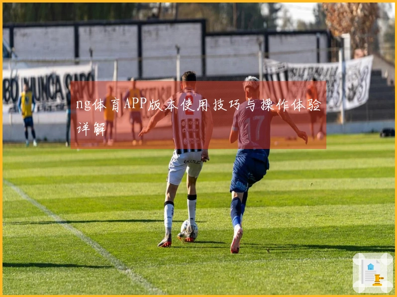 ng体育APP版本使用技巧与操作体验详解