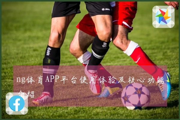 ng体育APP平台使用体验及核心功能介绍
