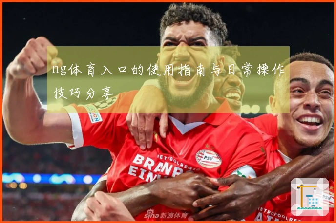 ng体育入口的使用指南与日常操作技巧分享