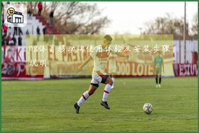 ng体育移动端使用体验及安装步骤说明