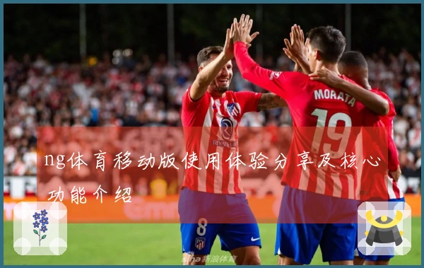 ng体育移动版使用体验分享及核心功能介绍
