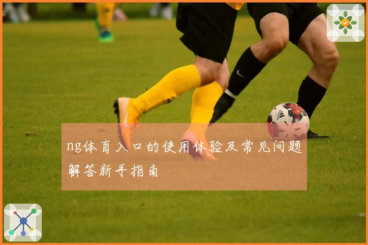 ng体育入口的使用体验及常见问题解答新手指南