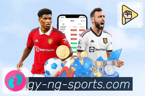 <strong>ng体育</strong>足球篮球竞猜 App 展示